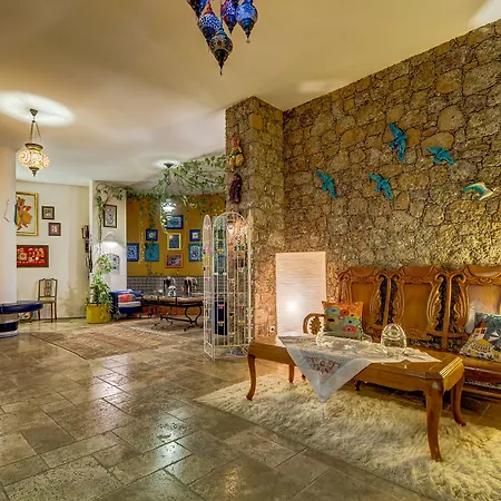 Hotel Asina
