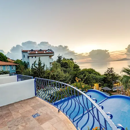 酒店 达特恰阿辛纳别墅酒店