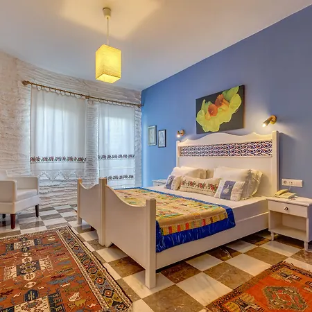 酒店 达特恰阿辛纳别墅酒店 达特恰