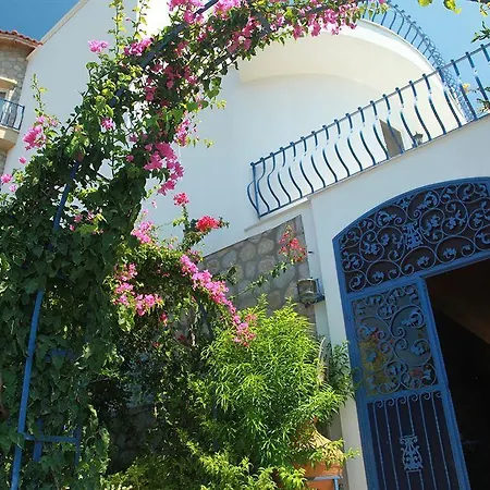 达特恰阿辛纳别墅酒店 酒店